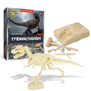 Kit giocattolo di scavo di fossili di dinosauro per bambina, completo di scatola